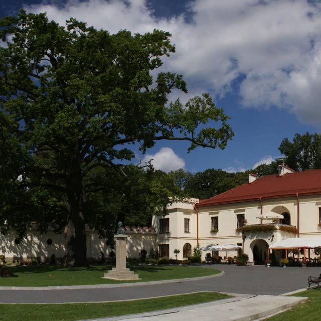 Zamek w Dubiecku, Autor: Sławomir Żuk