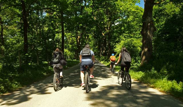 Doliną Sanu – trasa dla „skrzatów” po gminie Hyżne