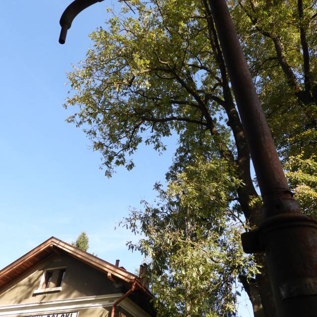 Dworzec kolejki wąskotorowej "Pogórzanin" w Jaworniku Polskim, Autor: Katarzyna Makarska