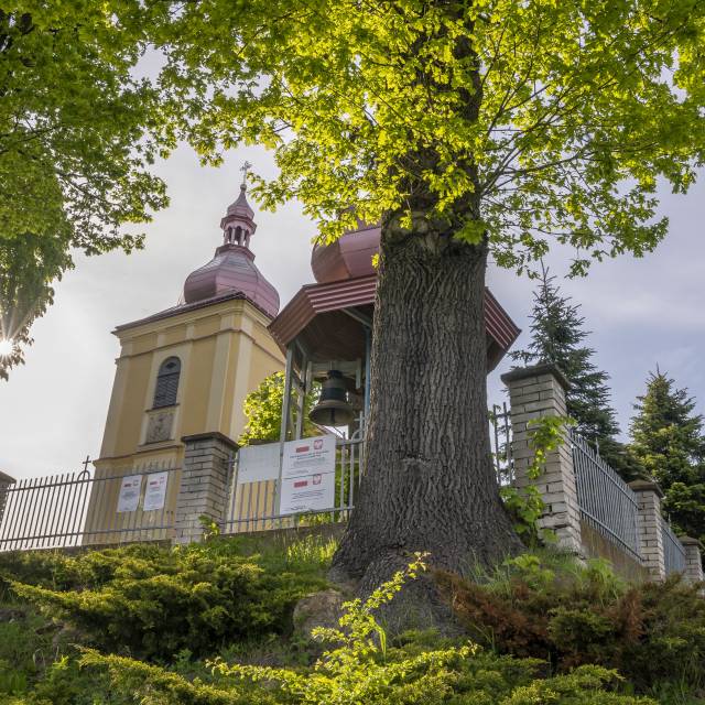 Kościół pw. Wniebowzięcia NMP i św. Andrzeja Apostoła w Jaworniku Polskim, Autor: Daniel Gąsecki