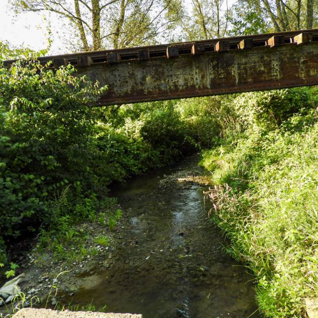 Stalowy most kolejowy w Zagórzu, Autor: Katarzyna Makarska