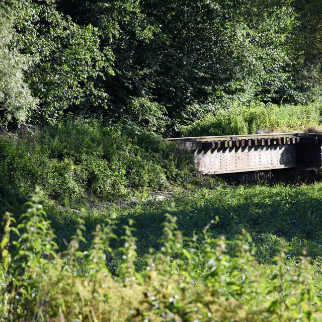 Stalowy most kolejowy w Zagórzu, Autor: Katarzyna Makarska
