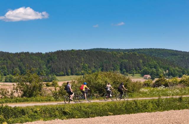 Doliną Sanu – duża pętla po gminie Hyżne