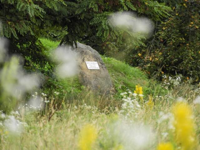 Kopiec Grunwaldzki w Hucisku Jawornickim