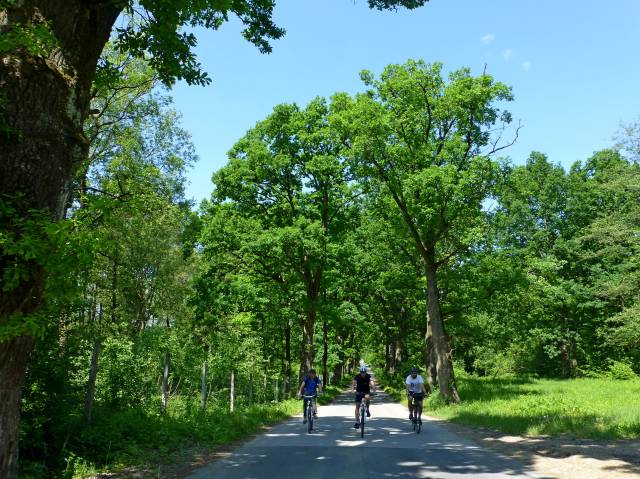 Doliną Sanu – przyrodnicza trasa po gminie Błażowa