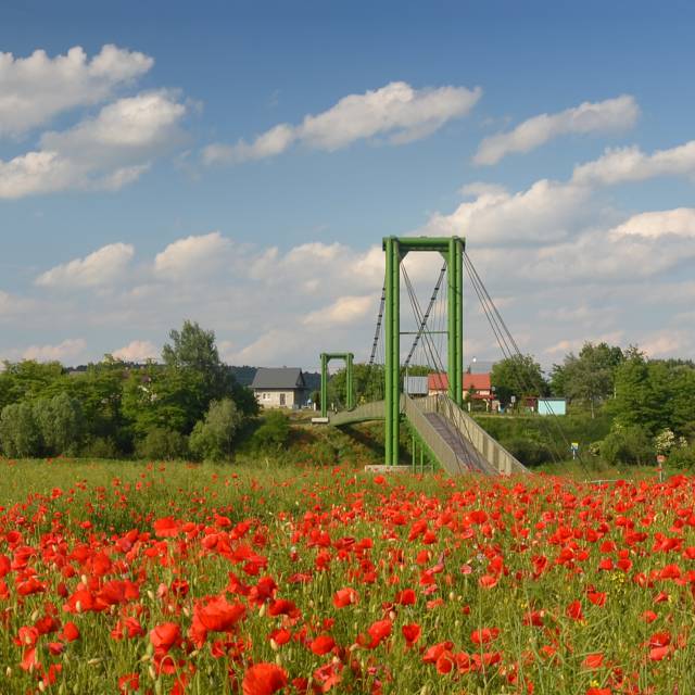 Kładka piesza w Bachowie, Autor: Robert Kaszycki