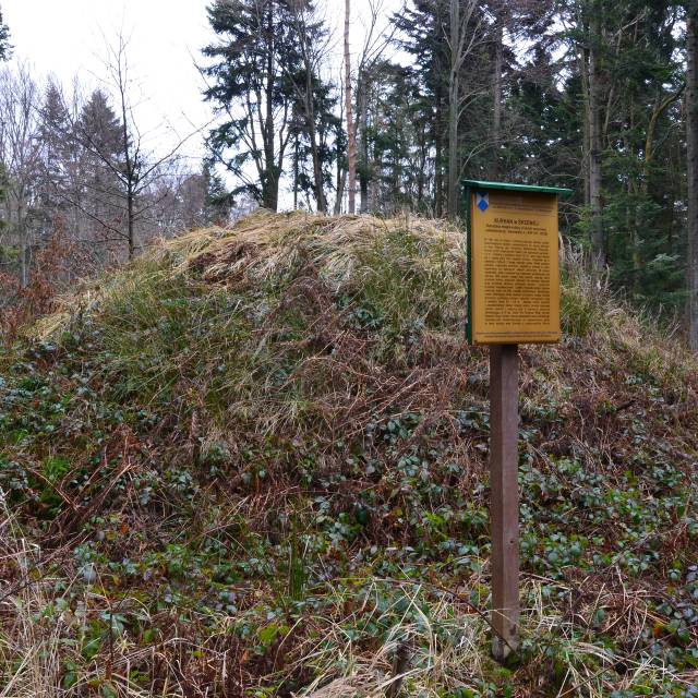 Kurhany w Średniej, Autor: Robert Kaszycki