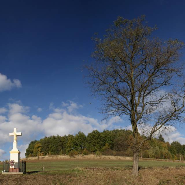 Wzniesienie "Parasol" w Bachórzu, Autor: Sławomir Żuk