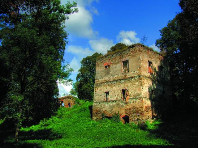 Ruiny zamku w Dąbrówce Starzeńskiej