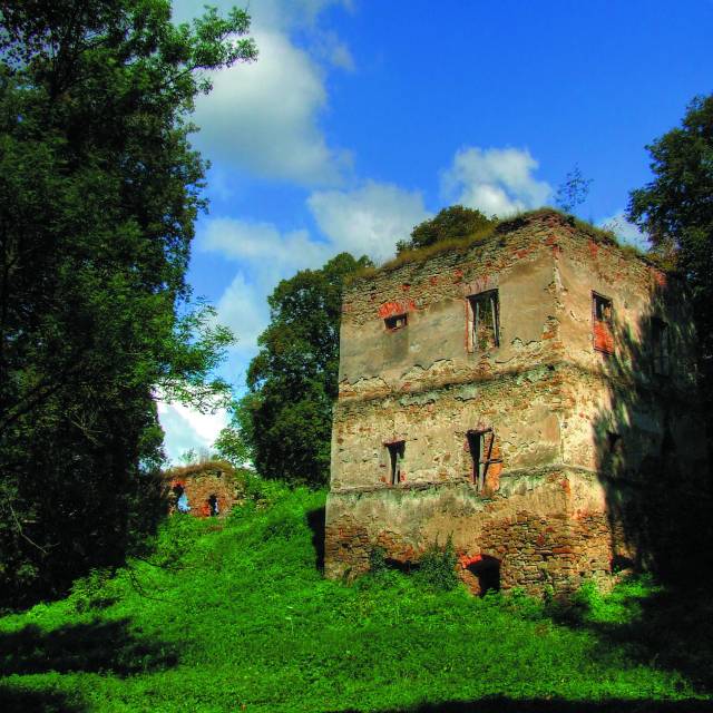 Ruiny zamku w Dąbrówce Starzeńskiej, Autor: Sławomir Żuk