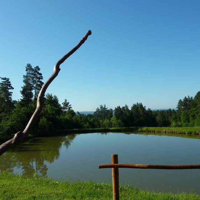 Łowisko w Dolinie 4 Stawów, Autor: Fotografia pochodzi z FB Właściciela obiektu