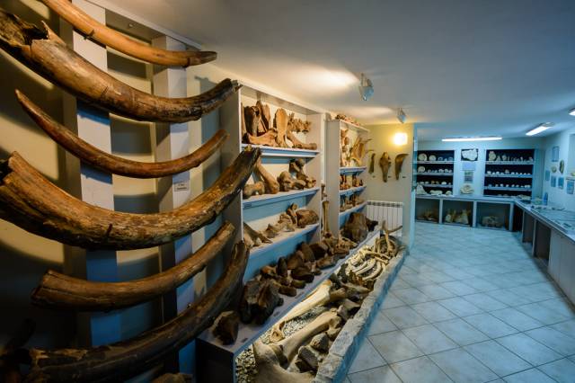 Prywatne Muzeum Skamieniałości i Minerałów w Dubiecku