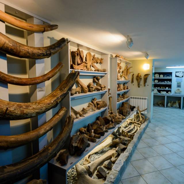 Prywatne Muzeum Skamieniałości i Minerałów w Dubiecku, Autor: Archiwum Wydawnictwa Quercus