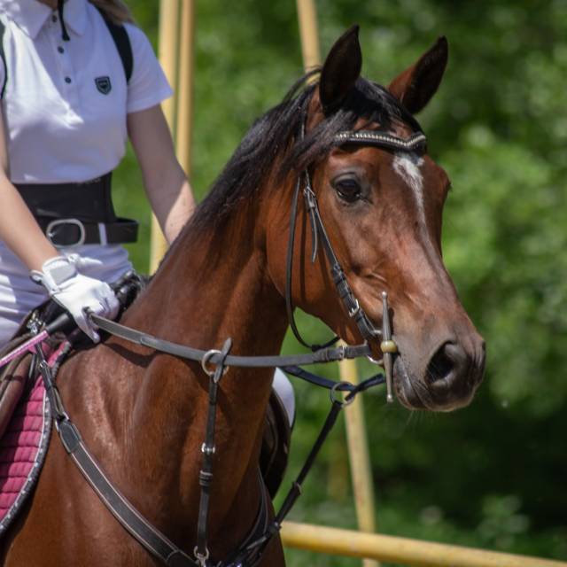 Boska Dolina w Dylągówce, Autor: Fotografia pochodzi z FB Właścicieli obiektu