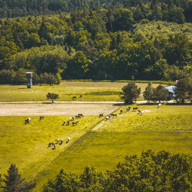 Boska Dolina w Dylągówce, Autor: Mateusz Bartyzel (Aeromat)