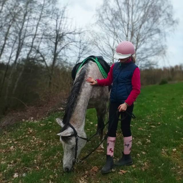 Stajnia IZDEBKI, Autor: Fotografia pochodzi z FB Właścicieli obiektu