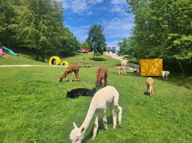 The Farm Jawornik Polski