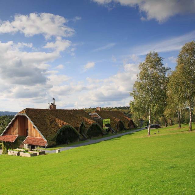 Winnica Piwnica PÓŁTORAK w Witryłowie, Autor: Fotografia pochodzi z FB Właścicieli obiektu