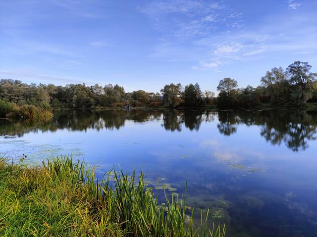 Zbiorniki wodne w Temeszowie (PZW O/Krosno)