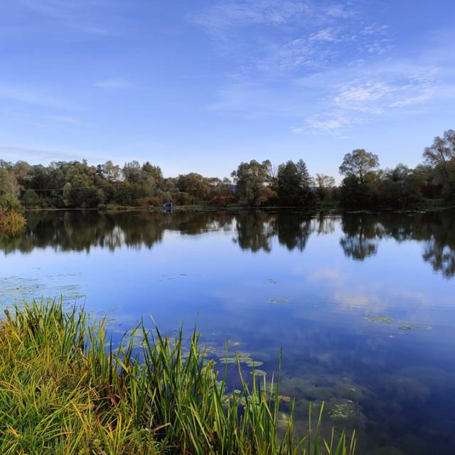 Zbiorniki wodne w Temeszowie, Autor: Fotografia pochodzi z FB Właściciela obiektu