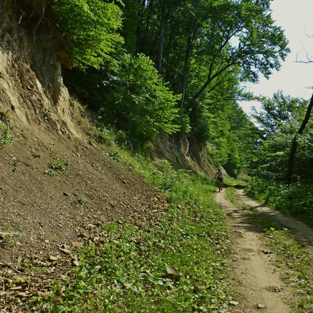 Autor: Anna Baran-Michalak