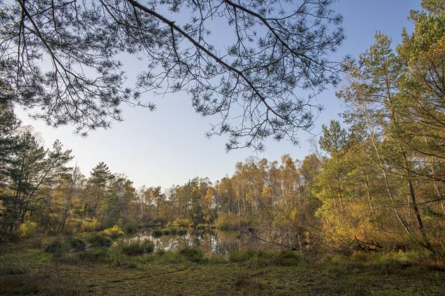 Rezerwat przyrody „Broduszurki” - Winne-Podbukowina