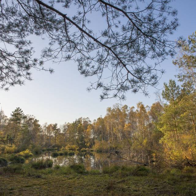 Jesienne Broduszurki, Autor: Daniel Gąsecki