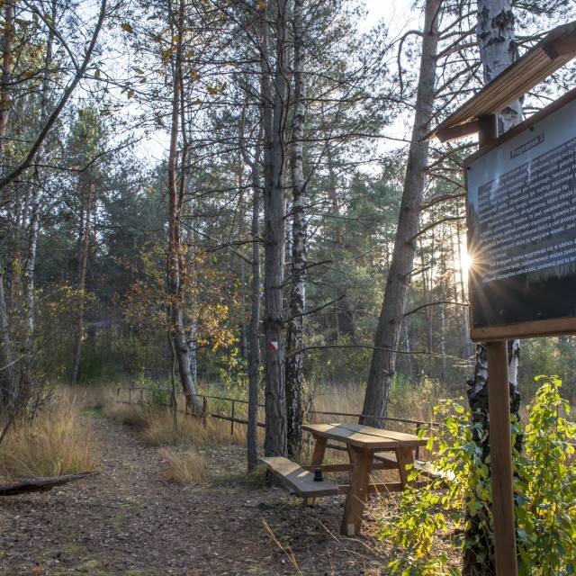 Jesienne Broduszurki, Autor: Daniel Gąsecki