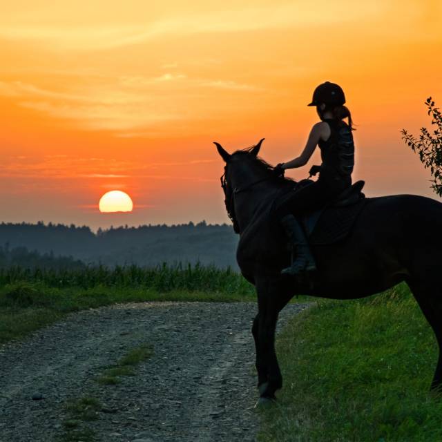 Stajnia IZDEBKI, Autor: Fotografia pochodzi z FB Właścicieli obiektu