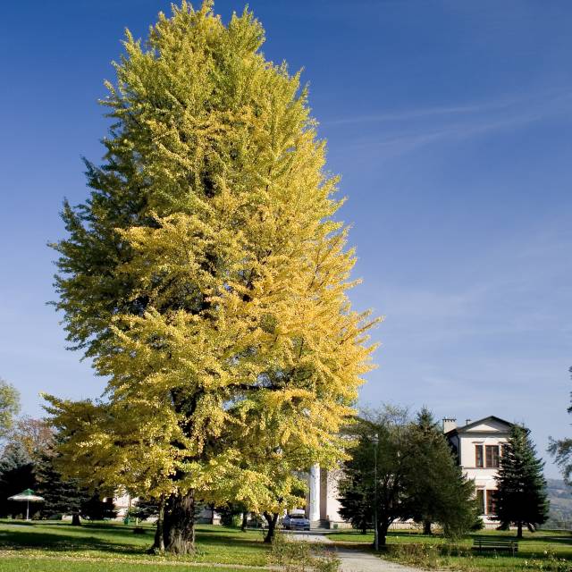 Zespół pałacowo-parkowy w Nozdrzcu, Autor: Przemysław Woźny