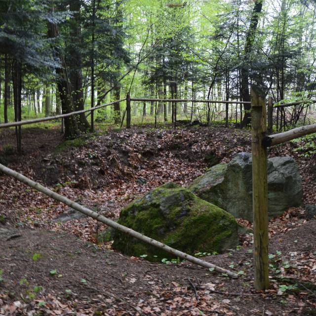 Pomnik przyrody nieożywionej "Błędny Kamnień" w rezerwacie Mójka, Autor: Zdjęcie z archiwum Wydawnictwa Edytorial