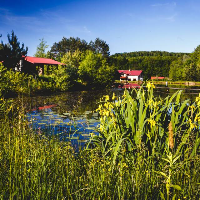 Gospodarstwo Agroturystyczne „Boska Dolina” w Dylągówce, Autor: Właściciel obiektu