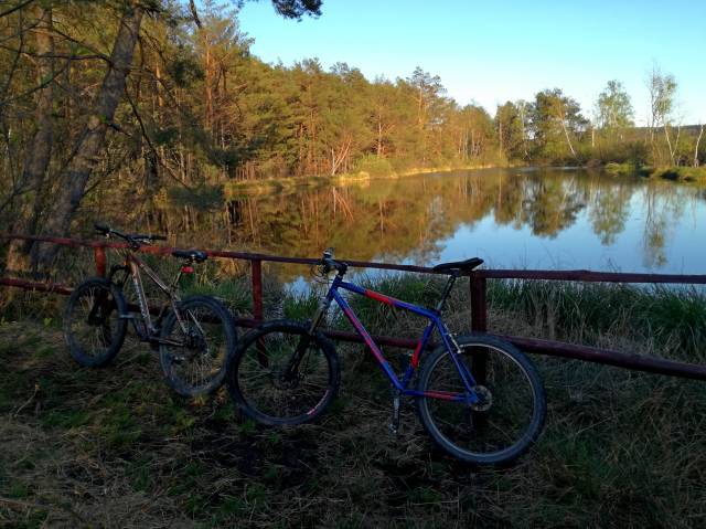 Doliną Sanu – trasa leśnymi duktami po Krzywczy