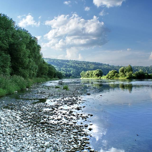 San w okolicach promu w Nozdrzcu, Autor: Daniel Gąsecki