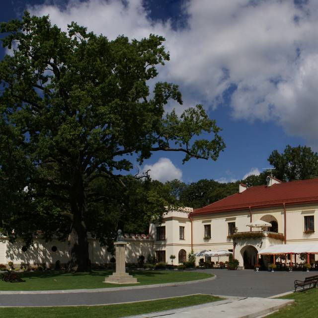 Zamek w Dubiecku, Autor: Sławomir Żuk