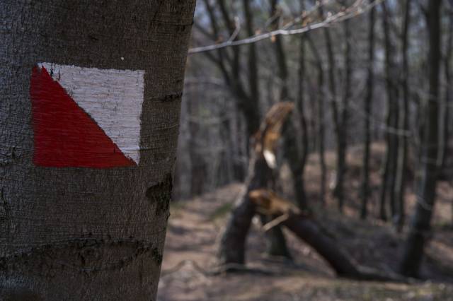 Trasa turystyczna „Trzy ścieżki tożsamości” – środowisko, historia, kultura