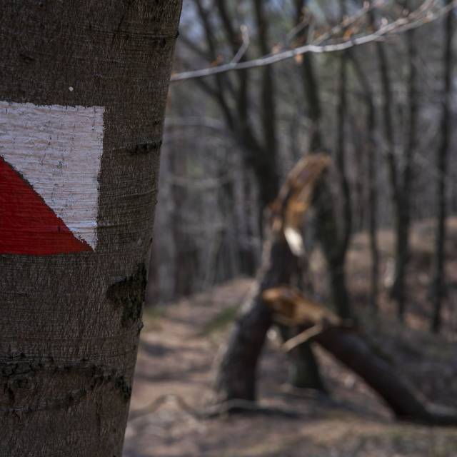 Na szlaku "Trzech ścieżek....." Autor: Daniel Gąsecki