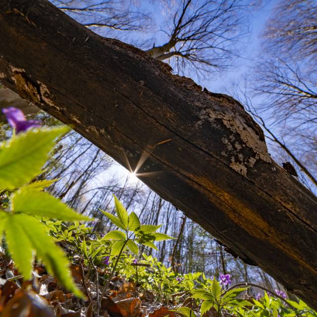 Na szlaku "Trzech ścieżek....." Autor: Daniel Gąsecki