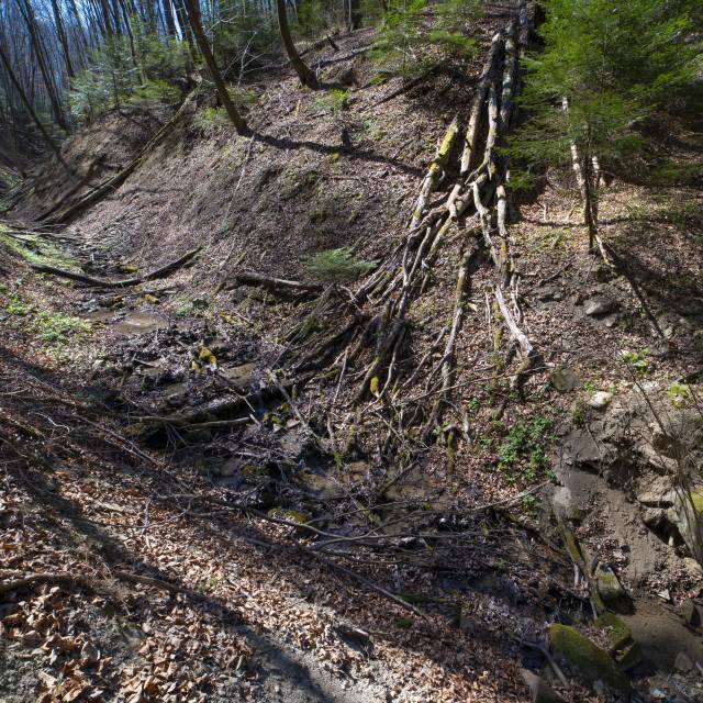 Na szlaku "Trzech ścieżek....." Autor: Daniel Gąsecki