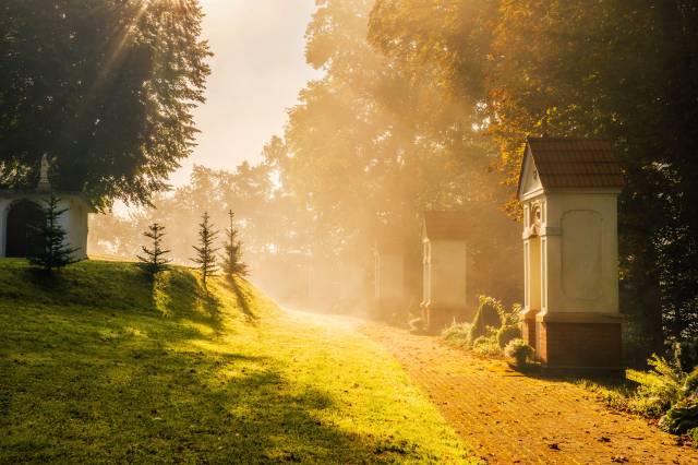 Kościół pw. Narodzenia Najświętszej Maryi Panny w Hyżnem