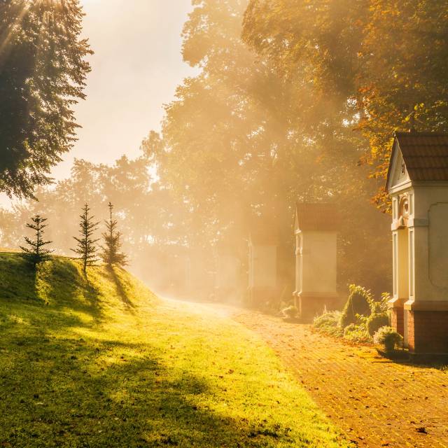 Kościół pw. Narodzenia Najświętszej Maryi Panny w Hyżnem, Autor: Andrzej Błoński