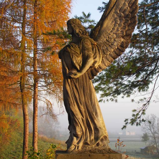 Grób ks. Gabriela Sałustowicza na dynowskim cmentarzu, Autor: Daniel Gąsecki