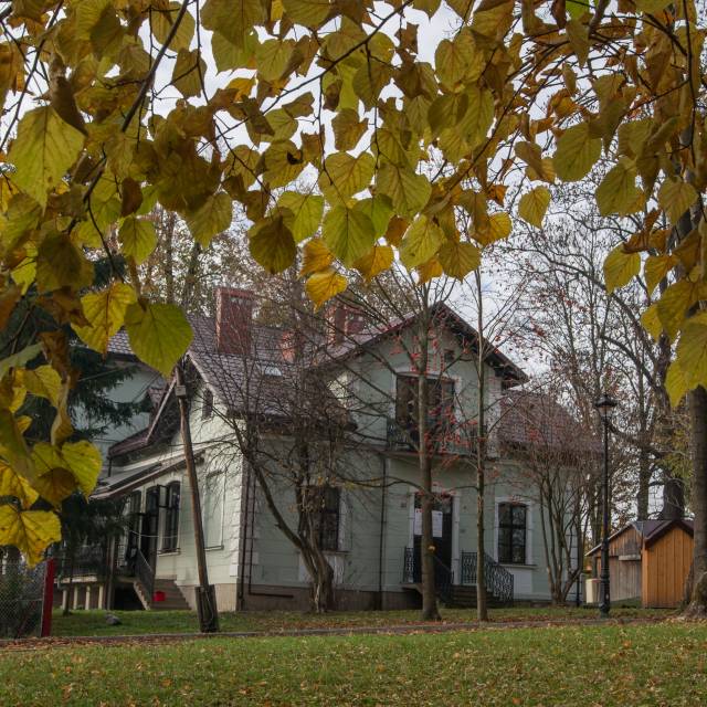 Pozostałości zabudowań dworskich Trzecieskich z XIX w. w Dynowie, Autor: Daniel Gąsecki