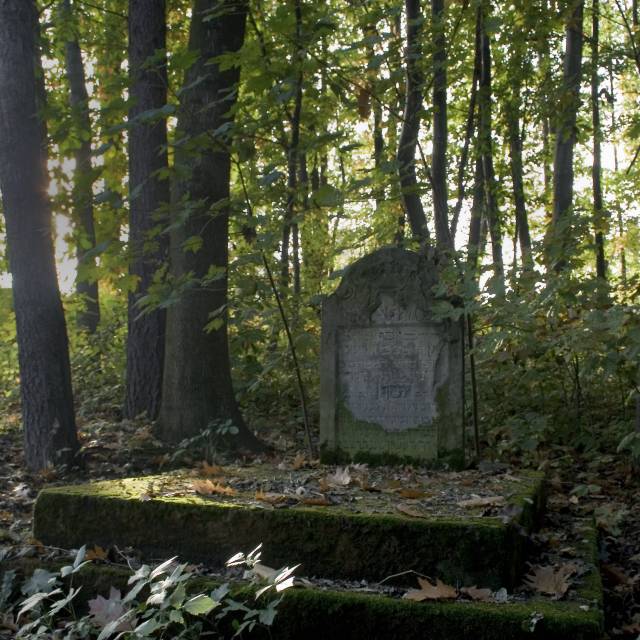 Macewa na żydowskim cmentarzu w Dynowie, Autor: Daniel Gąsecki