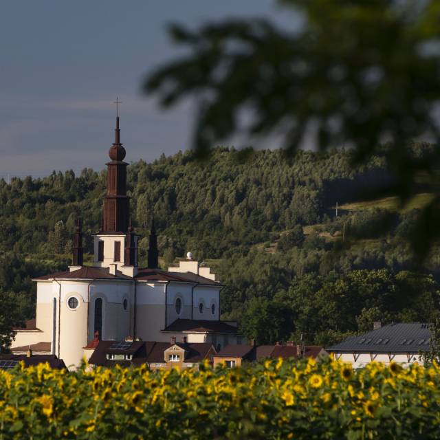 Kościół pw. Niepokalanego Serca NMP w Dubiecku, Autor: Daniel Gąsecki