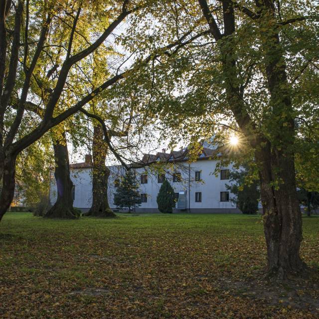 Zespół dworsko-parkowy na Wybrzeżu, Autor: Daniel Gąsecki