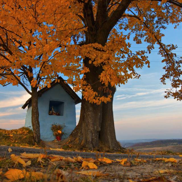 Kapliczka na Łączkach, Autor: Daniel Gąsecki